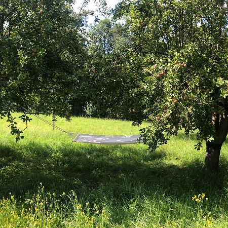 شقة Sonnenhof Limbach im Burgenland المظهر الخارجي الصورة