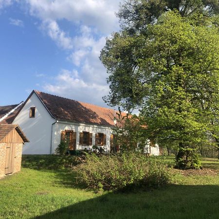 شقة Sonnenhof Limbach im Burgenland المظهر الخارجي الصورة