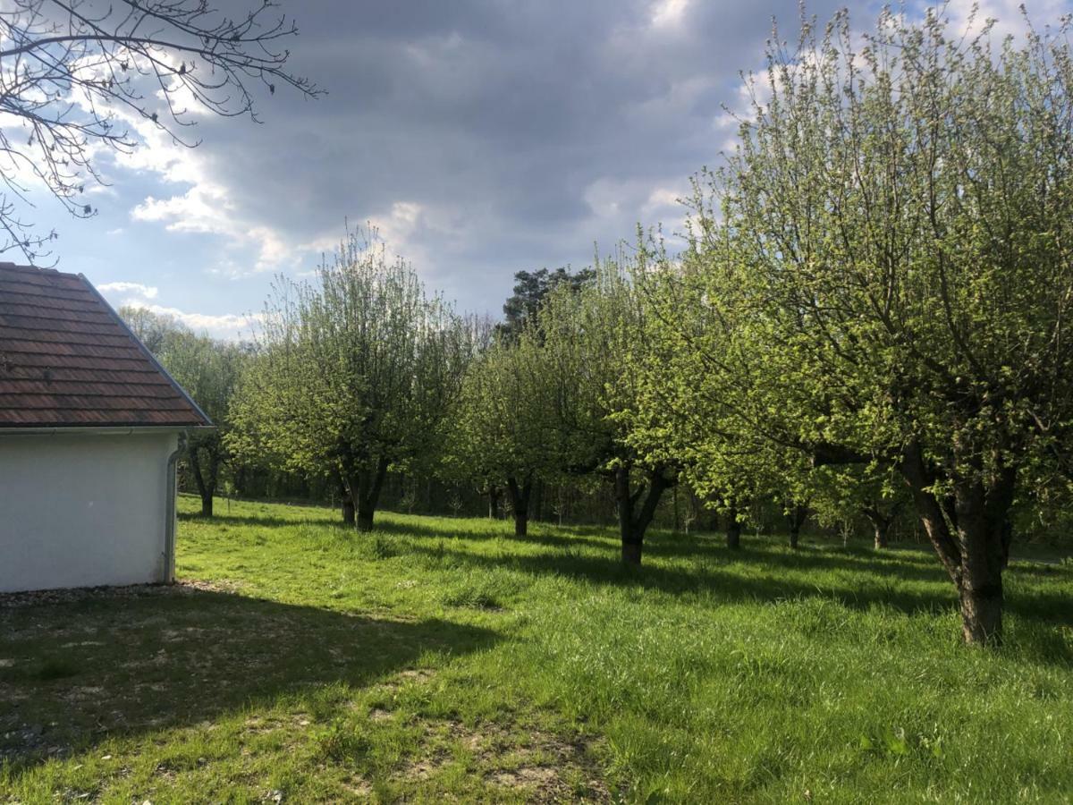 شقة Sonnenhof Limbach im Burgenland المظهر الخارجي الصورة