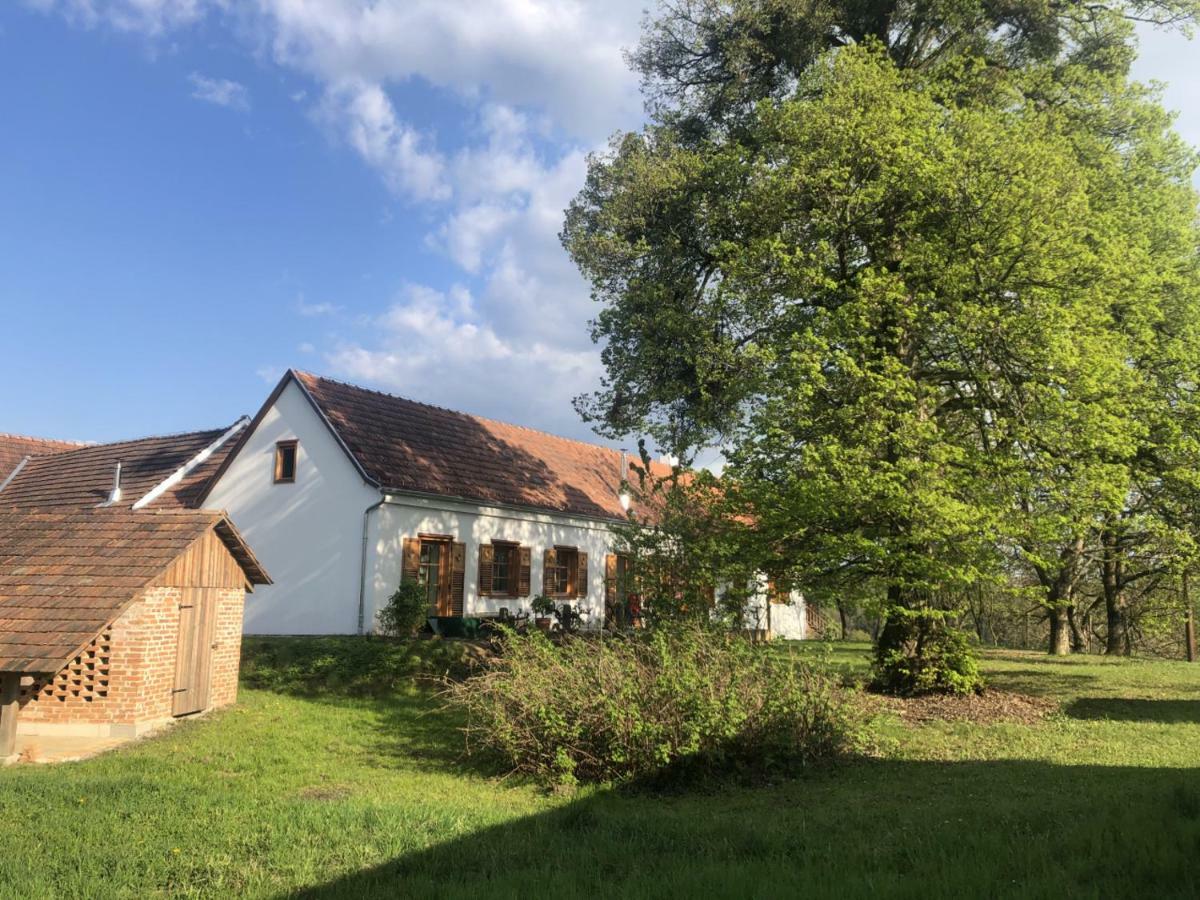 شقة Sonnenhof Limbach im Burgenland المظهر الخارجي الصورة