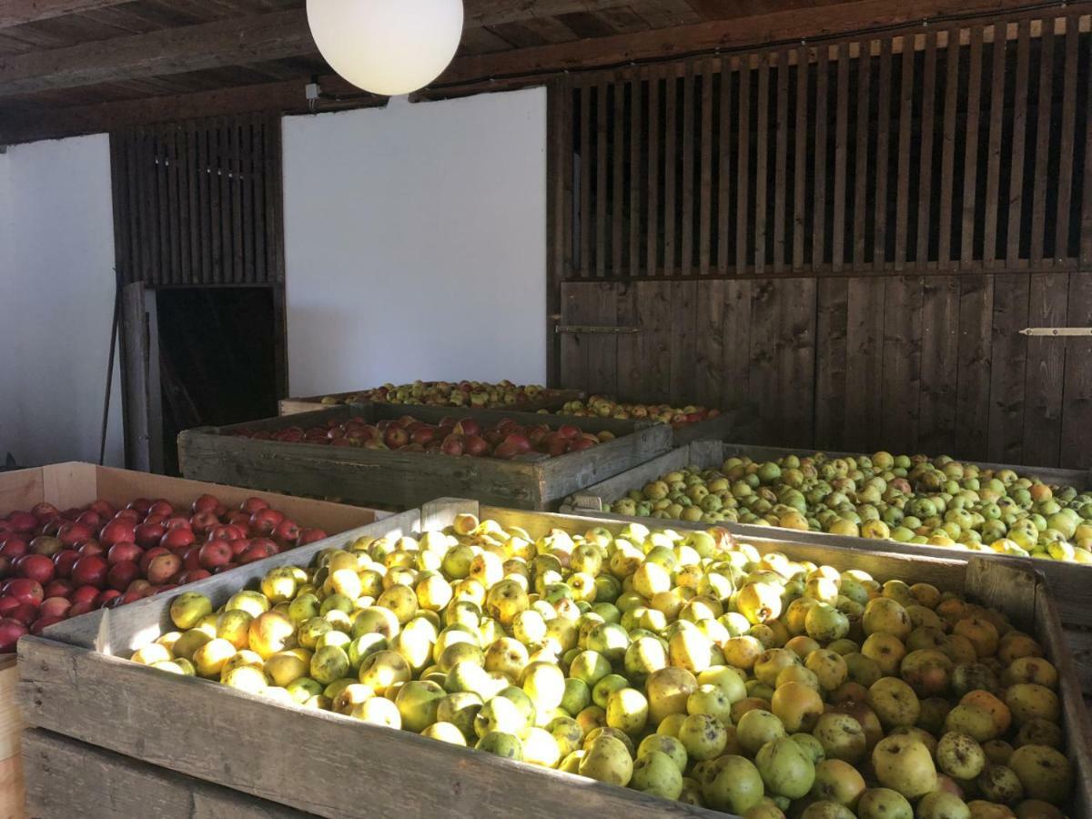 شقة Sonnenhof Limbach im Burgenland المظهر الخارجي الصورة