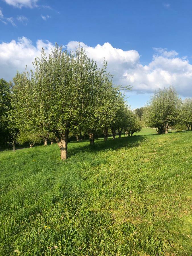 شقة Sonnenhof Limbach im Burgenland المظهر الخارجي الصورة