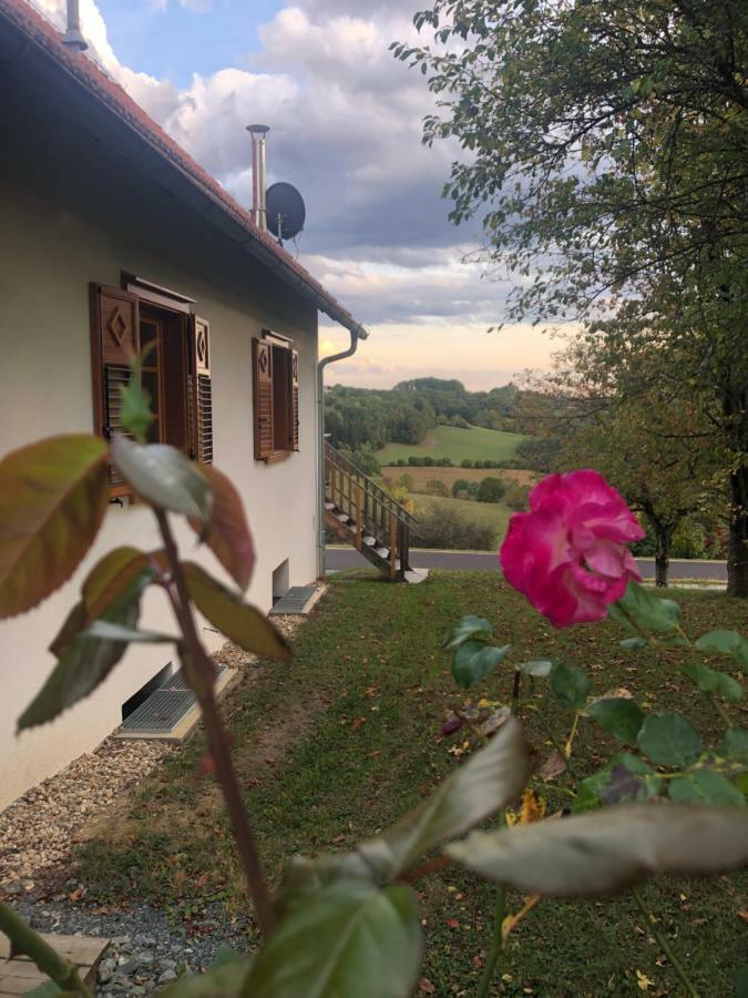 شقة Sonnenhof Limbach im Burgenland المظهر الخارجي الصورة